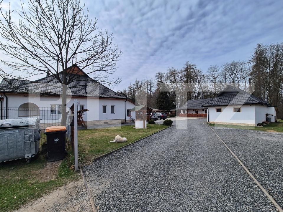 Casa de vânzare 9 camere Ocna Sugatag - 195181CV | BLITZ Baia Mare | Poza8