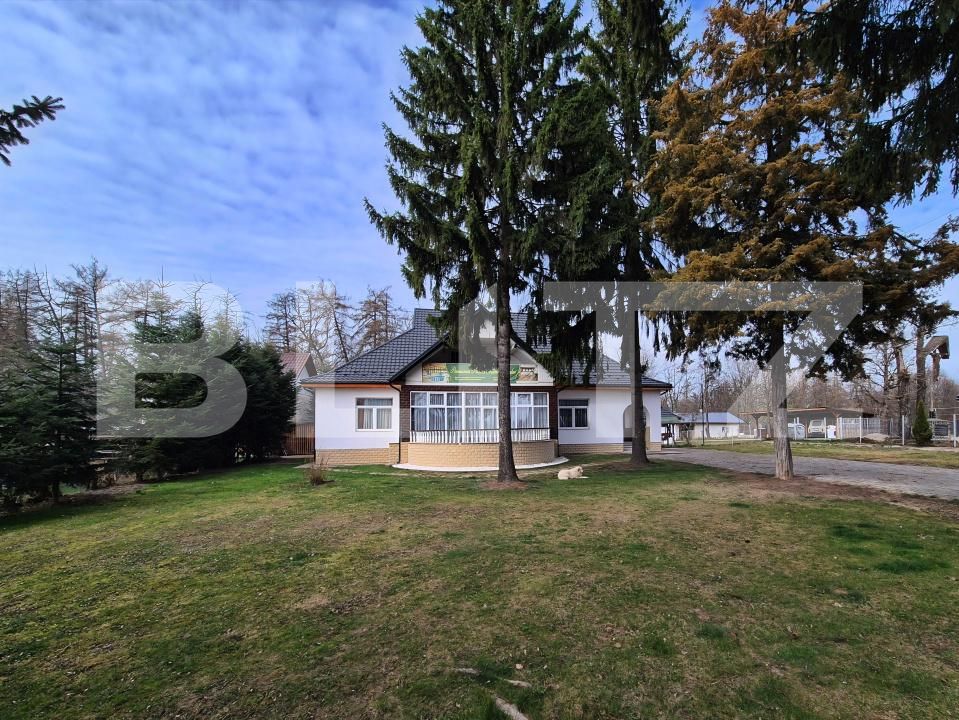 Casa de vânzare 9 camere Ocna Sugatag - 195181CV | BLITZ Baia Mare | Poza12