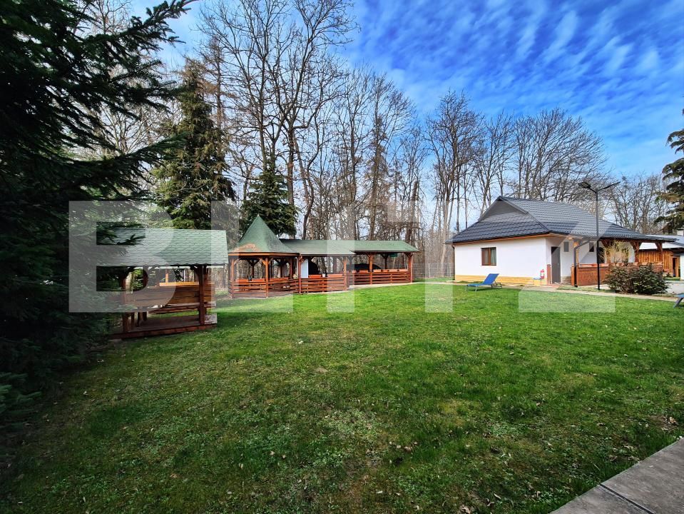 Casa de vânzare 9 camere Ocna Sugatag - 195181CV | BLITZ Baia Mare | Poza17