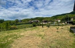 Casă ecologică din beton de canepă, 200 mp, 11 arii teren, zona Tautii de Sus