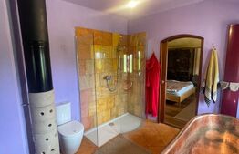 Casă ecologică din beton de canepă, 200 mp, 11 arii teren, zona Tautii de Sus