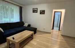 Apartament, 46 mp, renovat complet – gata de mutare, zona Sasar