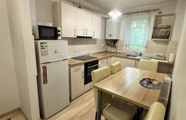 Apartament, 46 mp, renovat complet – gata de mutare, zona Sasar