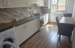 Garsonieră decomandată, 30 mp, mobilată modern, curte privată, zona Progresul