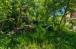 Vila Boutique cu 2 garaje, gradina si piscină - Centrul Orasului !