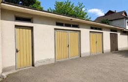 Vila Boutique cu 2 garaje, gradina si piscină - Centrul Orasului !