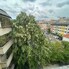 Apartament de închiriat 4 camere Traian - 195889AI - Poza 1 din 10 | BLITZ Baia Mare | Poza10