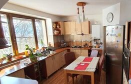Casă individuală, mansardă, garaj, curte privată, 290 mp, zona Targu Lapus 