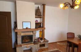 Casă individuală, mansardă, garaj, curte privată, 290 mp, zona Targu Lapus 