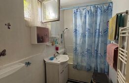 Apartament locuit sau investitie, 44 mp, zona Săsar -lângă Piața Albina 