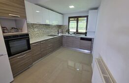 Etaj vilă, 2 dormitoare, 100 mp, terasă, grădină 700 mp și 2 parcări, zona Nord