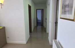 Etaj vilă, 2 dormitoare, 100 mp, terasă, grădină 700 mp și 2 parcări, zona Nord