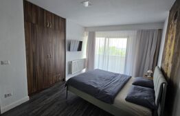 Etaj vilă, 2 dormitoare, 100 mp, terasă, grădină 700 mp și 2 parcări, zona Nord