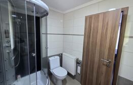 Etaj vilă, 2 dormitoare, 100 mp, terasă, grădină 700 mp și 2 parcări, zona Nord