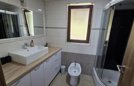 Etaj vilă, 2 dormitoare, 100 mp, terasă, grădină 700 mp și 2 parcări, zona Nord