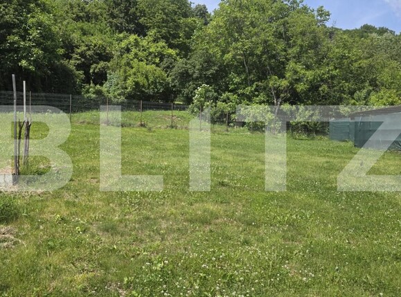 Casa de închiriat 3 camere Nord - 196124CI | BLITZ Baia Mare | Poza14