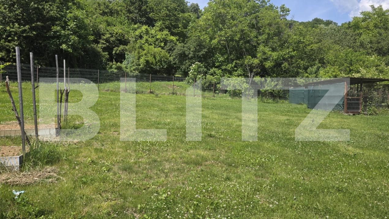 Casa de închiriat 3 camere Nord - 196124CI | BLITZ Baia Mare | Poza14