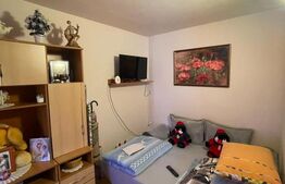 Apartament 3 camere, 43 mp, mobilat și utilat, centrală nouă, etaj 3, zona Garii