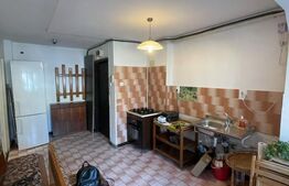 Apartament 2 camere, parter, 53 mp util, zona Republicii - Atrium