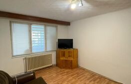 Apartament 2 camere, parter, 53 mp util, zona Republicii - Atrium