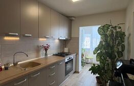 Apartament de vânzare 3 camere Orasul Vechi, Baia Mare