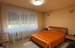 Casă P+1+2+M, 360 mp, 7 camere, 4 băi, granit interior/exterior, 2 garaje, Sasar