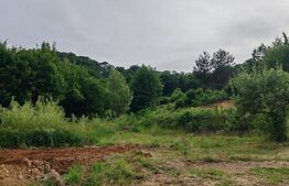 Teren intravilan, 900 mp, panoramă, zona Băița - Tăuții-Măgherăuș 