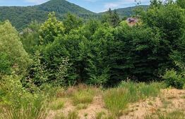 Teren intravilan, 900 mp, panoramă, zona Băița - Tăuții-Măgherăuș 