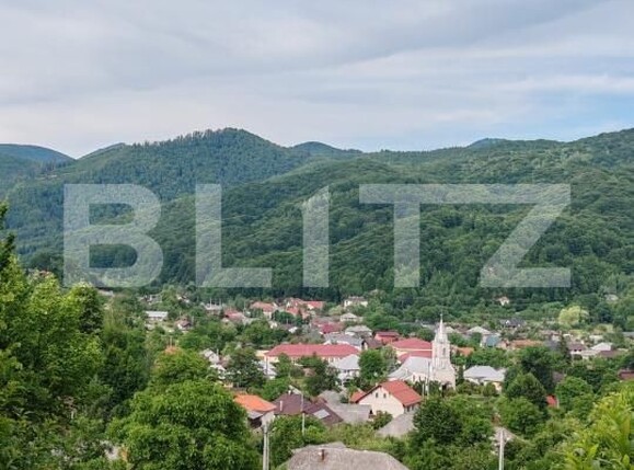 Teren de vânzare Baita - 197331TV | BLITZ Baia Mare | Poza1