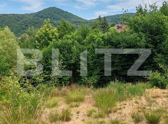 Teren de vânzare Baita - 197331TV | BLITZ Baia Mare | Poza4