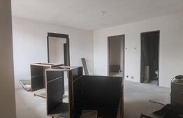 Spațiu comercial/locuință 60 mp, parter, Orașul Vechi 