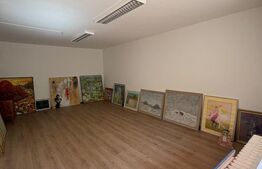 Casă individuală, 350 mp, zona Parcul Regina Maria