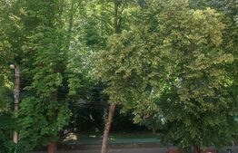 Casă în zona Parcul Regina Maria – oportunitate de investiție