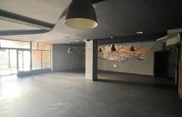 Spațiu comercial, 142 mp + terasă 40 mp, zona Central