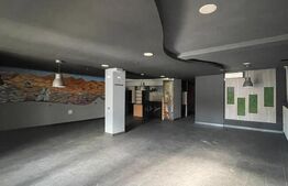 Spațiu comercial, 142 mp + terasă 40 mp, zona Central
