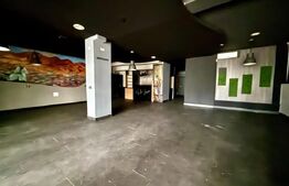Spațiu comercial de vânzare Budeşti - 165742SVC | BLITZ Baia Mare | Poza2