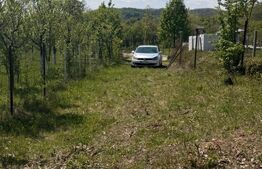 Teren intravilan 14 ari - Buzesti