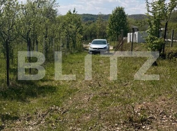 Teren de vânzare Buzesti - 198522TV | BLITZ Baia Mare | Poza5