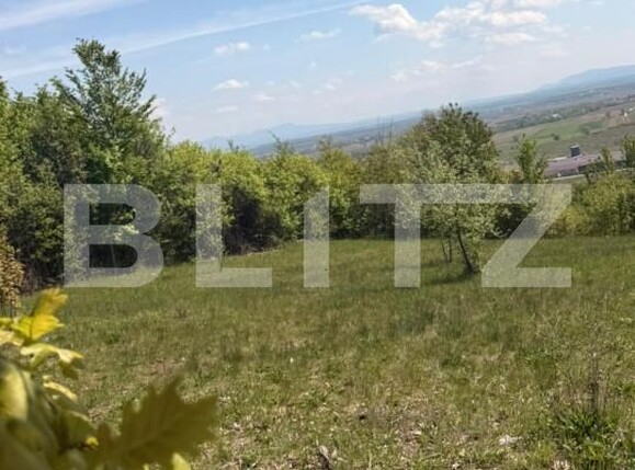 Teren de vânzare Buzesti - 198522TV | BLITZ Baia Mare | Poza7