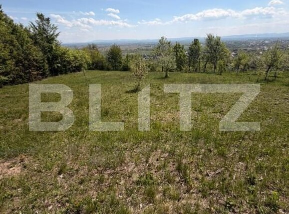 Teren de vânzare Buzesti - 198522TV | BLITZ Baia Mare | Poza4