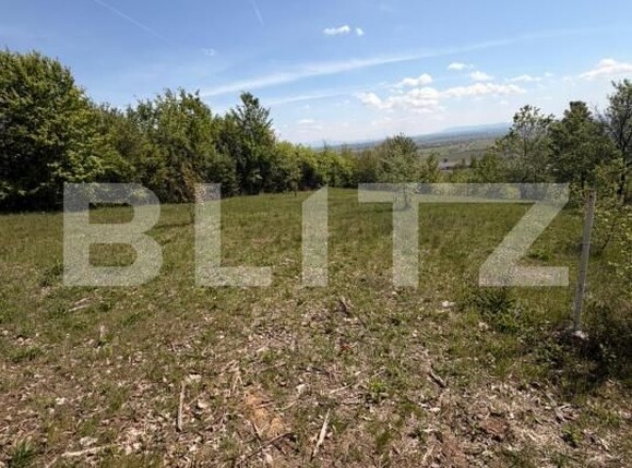 Teren de vânzare Buzesti - 198522TV | BLITZ Baia Mare | Poza9