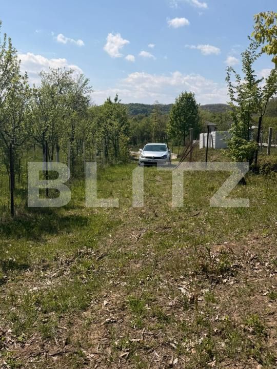 Teren de vânzare Buzesti - 198522TV | BLITZ Baia Mare | Poza5