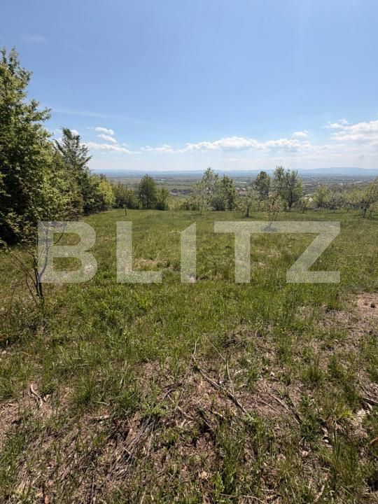 Teren de vânzare Buzesti - 198522TV | BLITZ Baia Mare | Poza3
