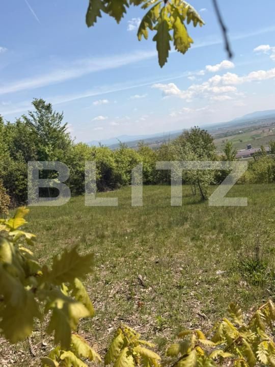 Teren de vânzare Buzesti - 198522TV | BLITZ Baia Mare | Poza7