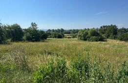 Teren de vanzare, 855 mp, zona Mocira