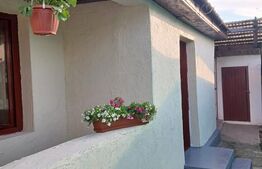 Casă de vânzare, 44 mp, teren 650 mp, zonă Seini