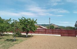 Casă de vânzare, 44 mp, teren 650 mp, zonă Seini