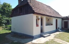 Casă de vânzare, 44 mp, teren 650 mp, zonă Seini
