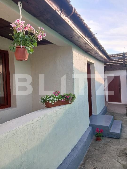 Casa de vânzare 2 camere Seini - 199093CV | BLITZ Baia Mare | Poza2