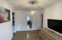 Apartament de 2 camere semidecomandat, etaj 2, Sasar